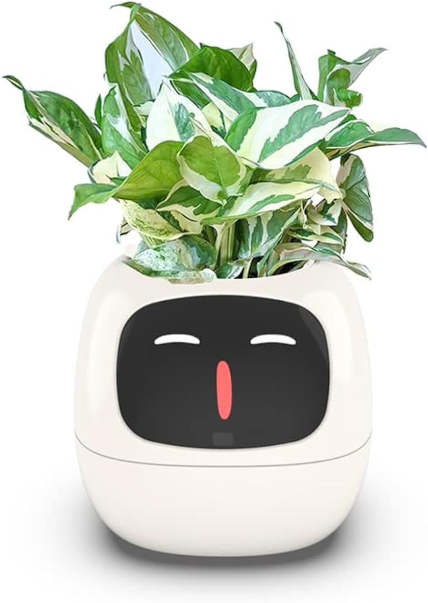 Ivy Plant Pot