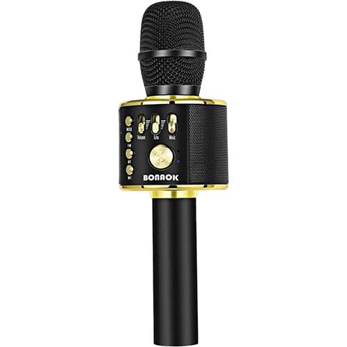 BONAOK Bluetooth Karaoke Mic and Speaker (with case)